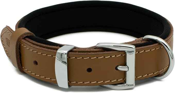 Vegetable-Tanned Leather Dog Collar for Large Dogs - Heavy Duty and Luxury Design Dog Collars